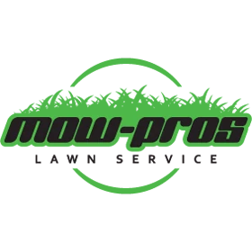 Logo we designed for Steven Smith